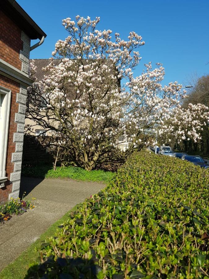 Gartenblick Daire Oldenburg Dış mekan fotoğraf